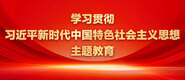 用力日逼学习贯彻习近平新时代中国特色社会主义思想主题教育_fororder_ad-371X160(2)